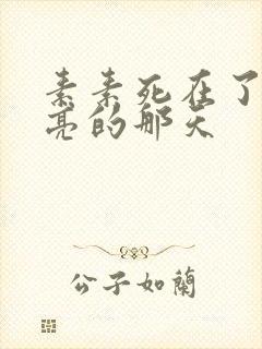 素素死在了最漂亮的那天