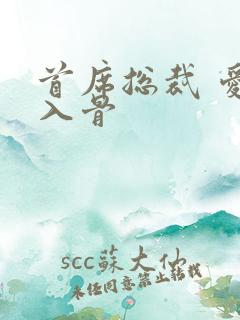 首席总裁 爱你入骨