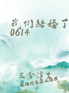 我们结婚了130614