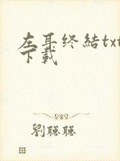 左耳终结txt下载