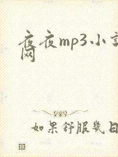夜夜mp3小说网
