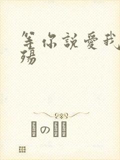 等你说爱我之云殇