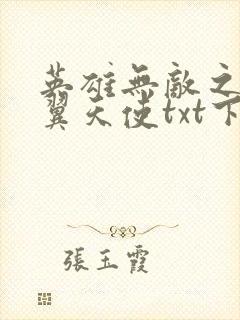 英雄无敌之十二翼天使txt下载