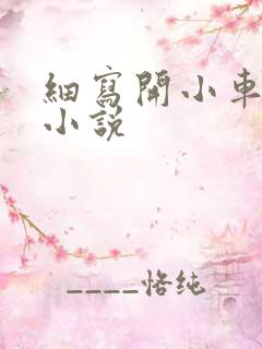 细写开小车车的小说