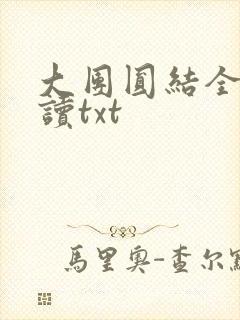 大团圆结全文阅读txt