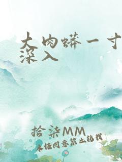 大肉蟒一寸寸地深入