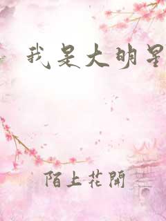 我是大明星周天