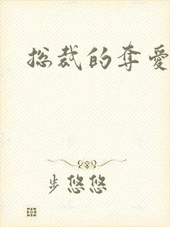 总裁的夺爱游戏