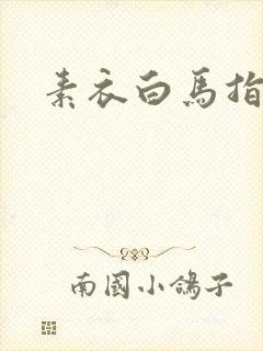 素衣白马指天下