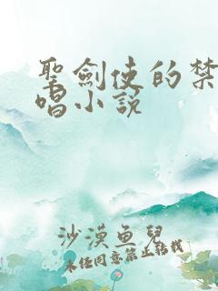 圣剑使的禁咒咏唱小说