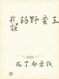 我的野蛮王妃小说