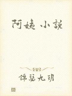 阿姨 小说