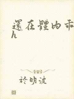 还在体内乖吃饭h