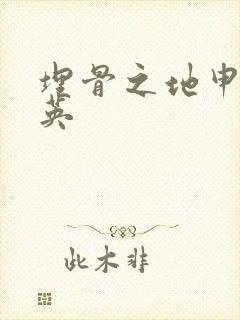 埋骨之地申屠奎英