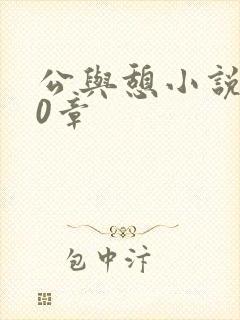 公与憩小说400章