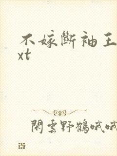 不嫁断袖王爷txt