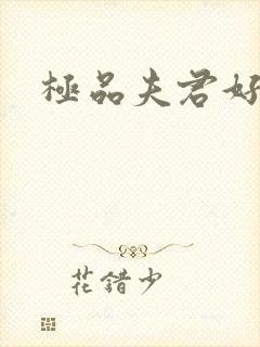 极品夫君好又多