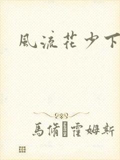 风流花少下载