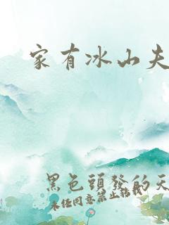 家有冰山夫