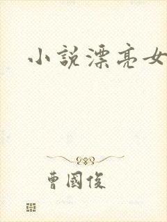 小说漂亮女局长