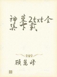 神墓2txt全集下载