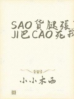 SAO货腿张开JI巴CAO死我