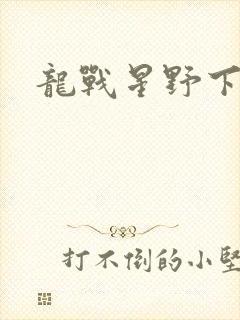 龙战星野下载
