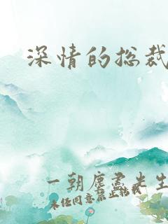 深情的总裁儿子