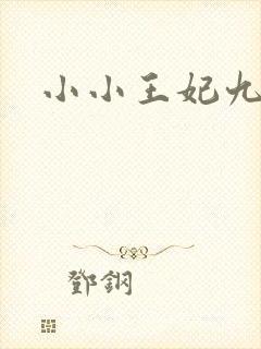 小小王妃九岁半