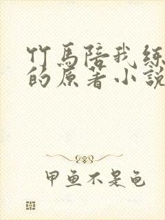 竹马陪我练技术的原著小说