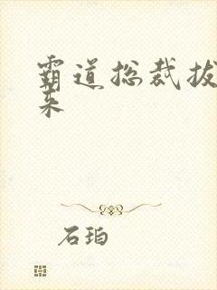 霸道总裁拔不出来