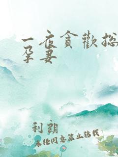 一夜贪欢总裁幸孕妻