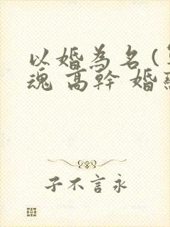 以婚为名 (军魂 高干 婚恋)