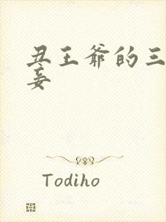 丑王爷的三妻四妾