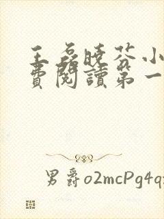 王磊晓芬小说免费阅读第一章