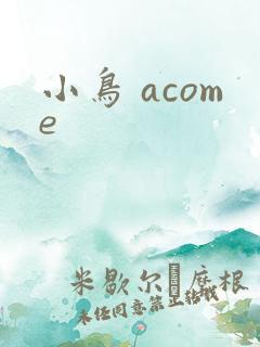 小鸟 acome