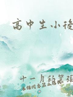高中生小后妈