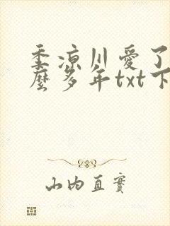季凉川爱了你这么多年txt下载