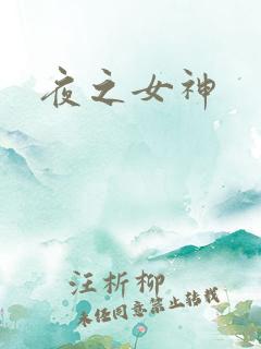 夜之女神