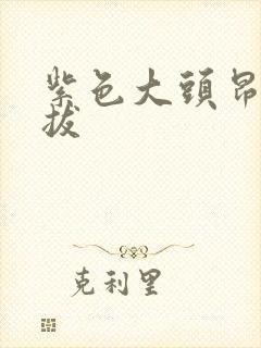 紫色大头昂扬挺拔