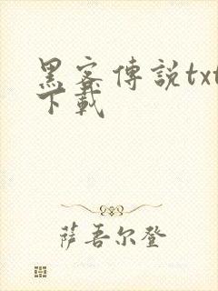 黑客传说txt下载