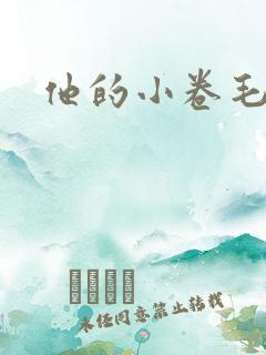 他的小卷毛