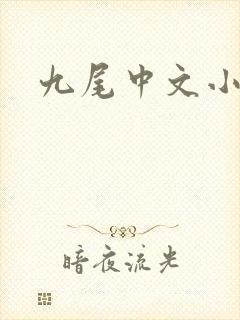 九尾中文小说网