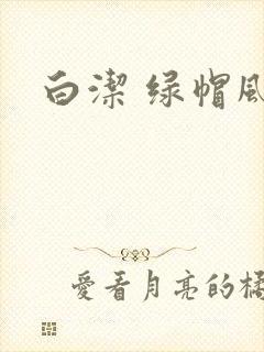 白洁 绿帽风云
