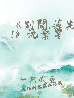 《别闹,薄先生!》沈繁星