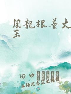 用龙根养大的公主