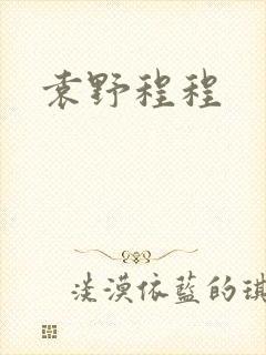 袁野程程
