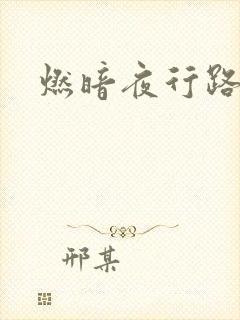 燃暗夜行路
