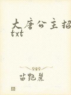 大唐公主招亲记txt