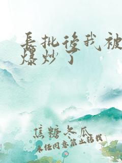 长批后我被宿敌爆炒了